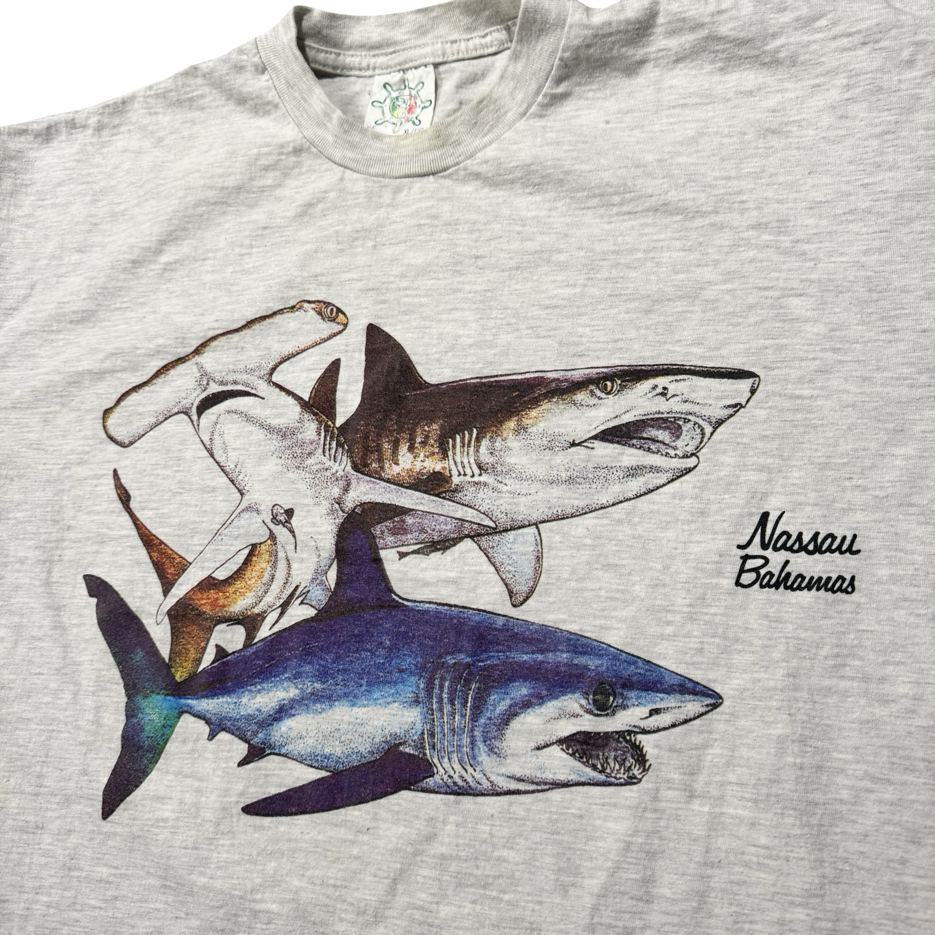 Shark graphic print detail Nassau Bahamas