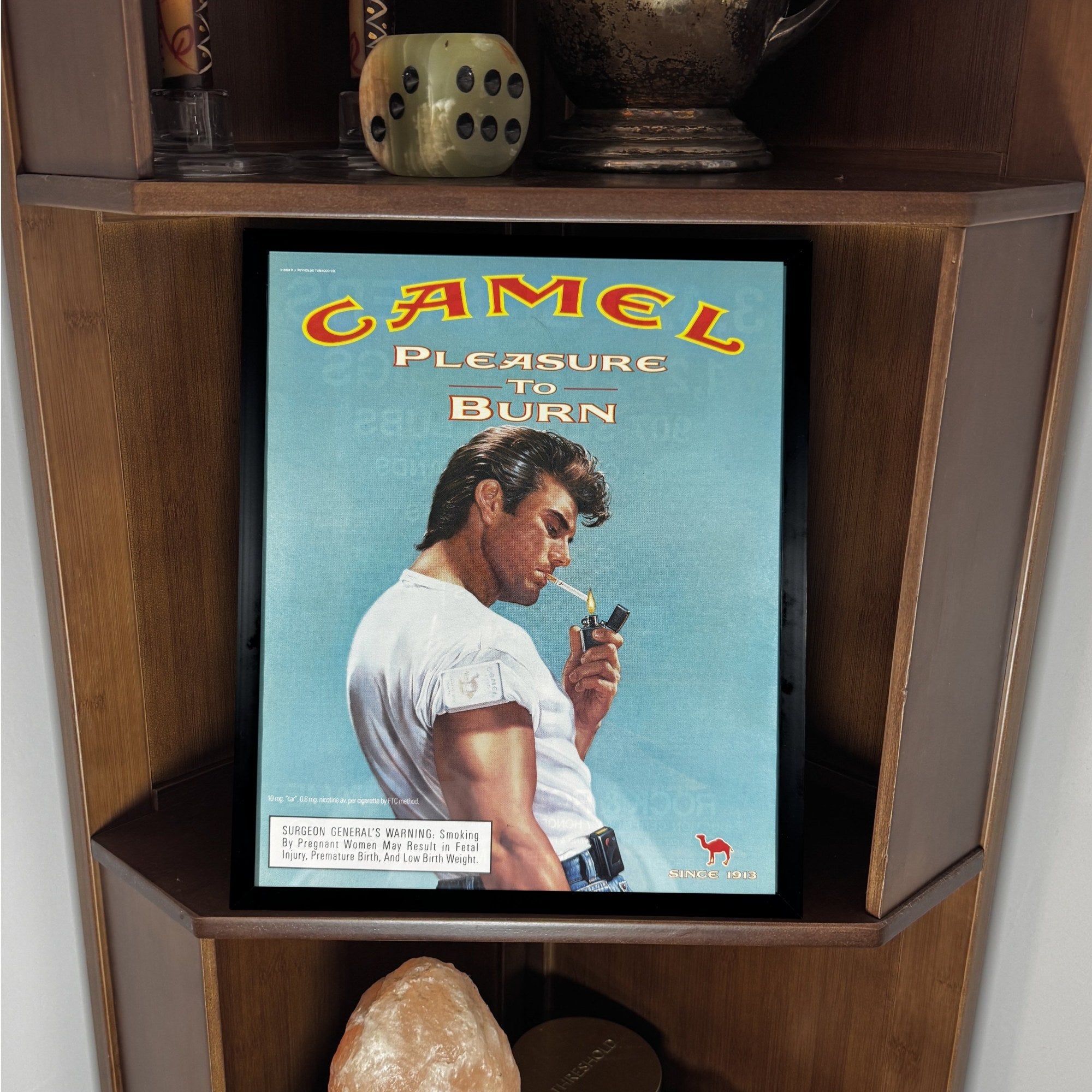 Camel framed print displayed on a wooden shelf