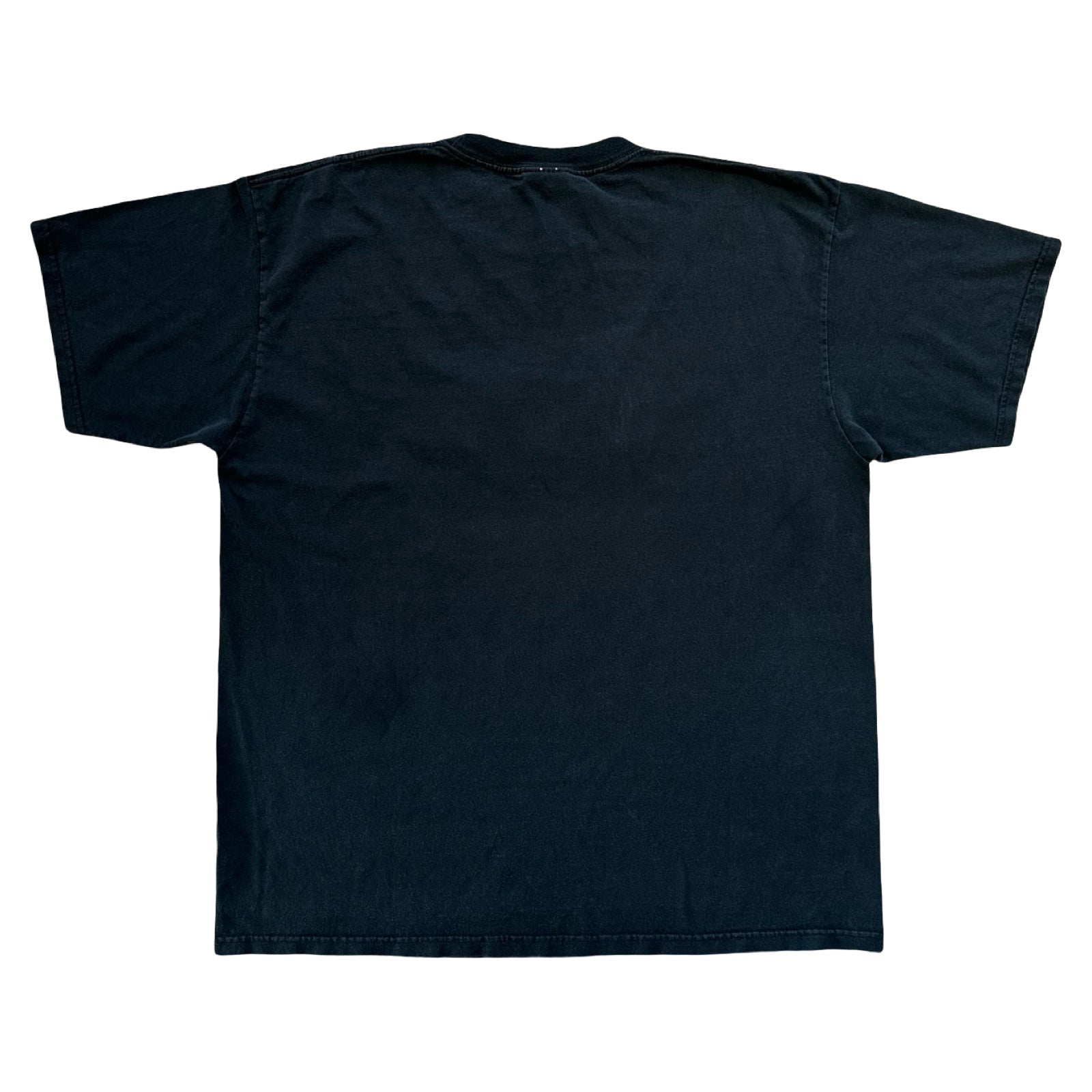Puerto Peñasco Cacti XL T-Shirt