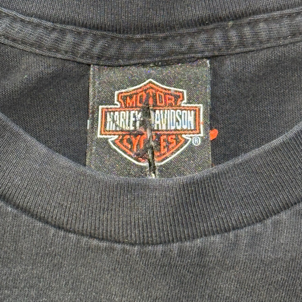 Sturgis Large Long Sleeve T-Shirt