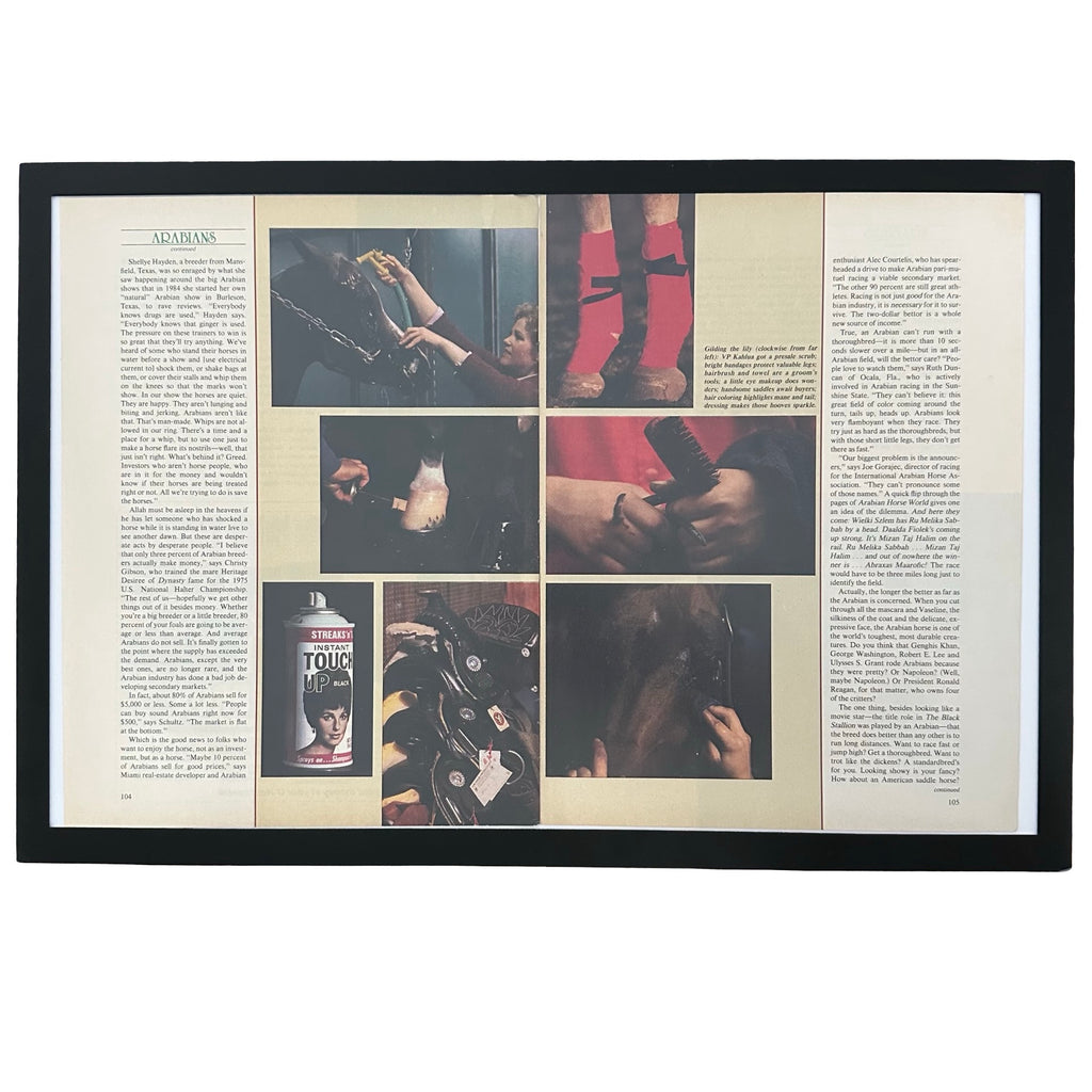 Framed vintage Arabian horse magazine article double page spread on white background
