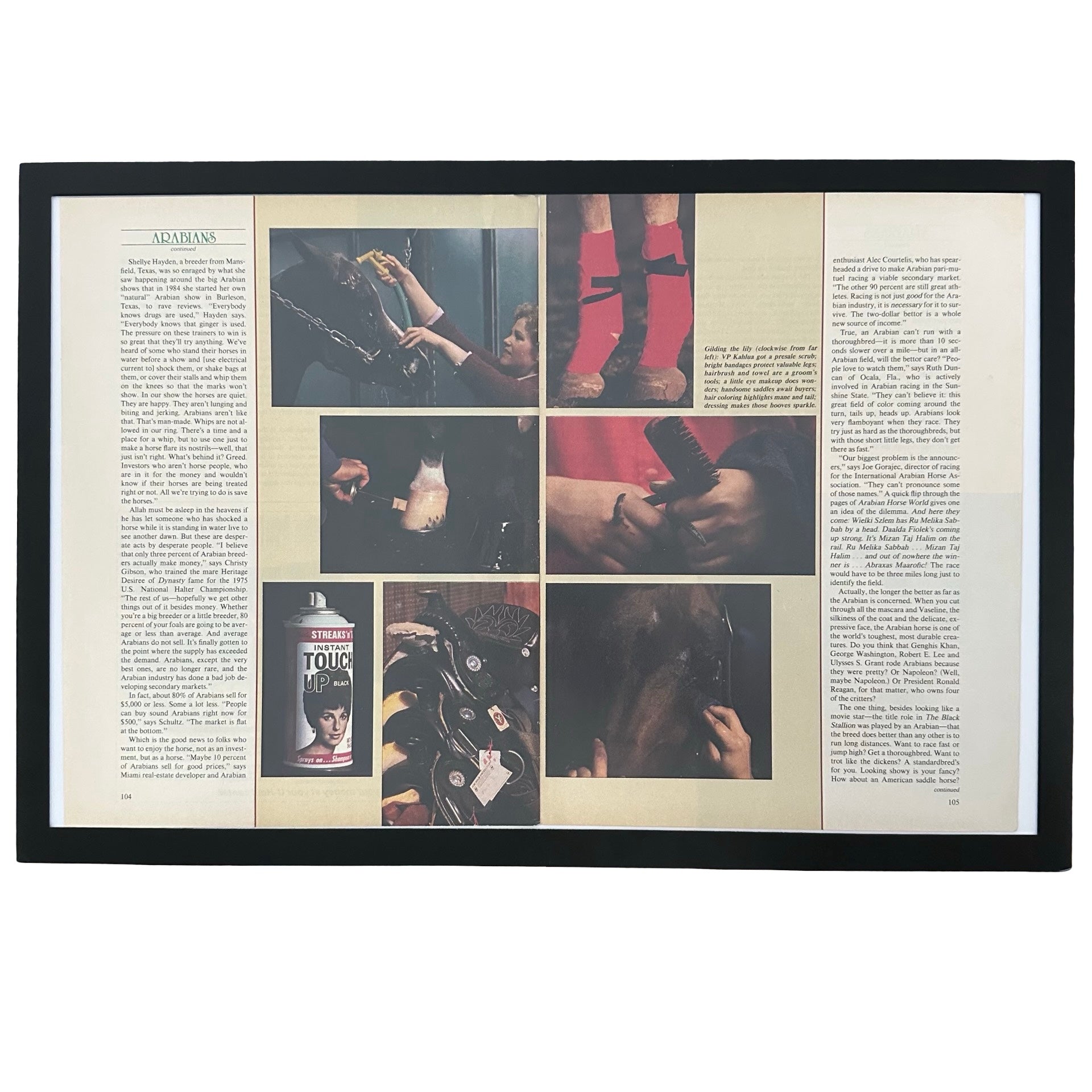 Framed vintage Arabian horse magazine article double page spread on white background