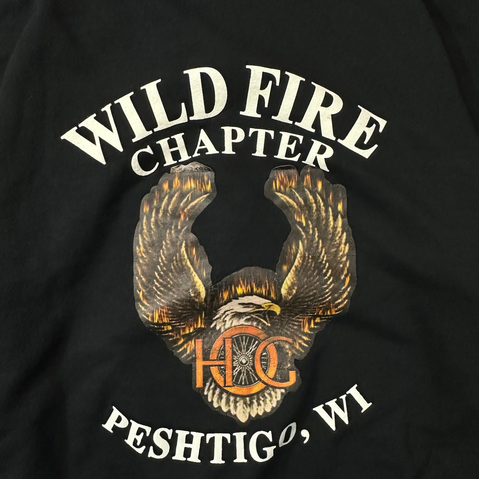 Vintage HOG Wild Fire Chapter Peshtigo Wisconsin Flame Zip Hoodie Black L