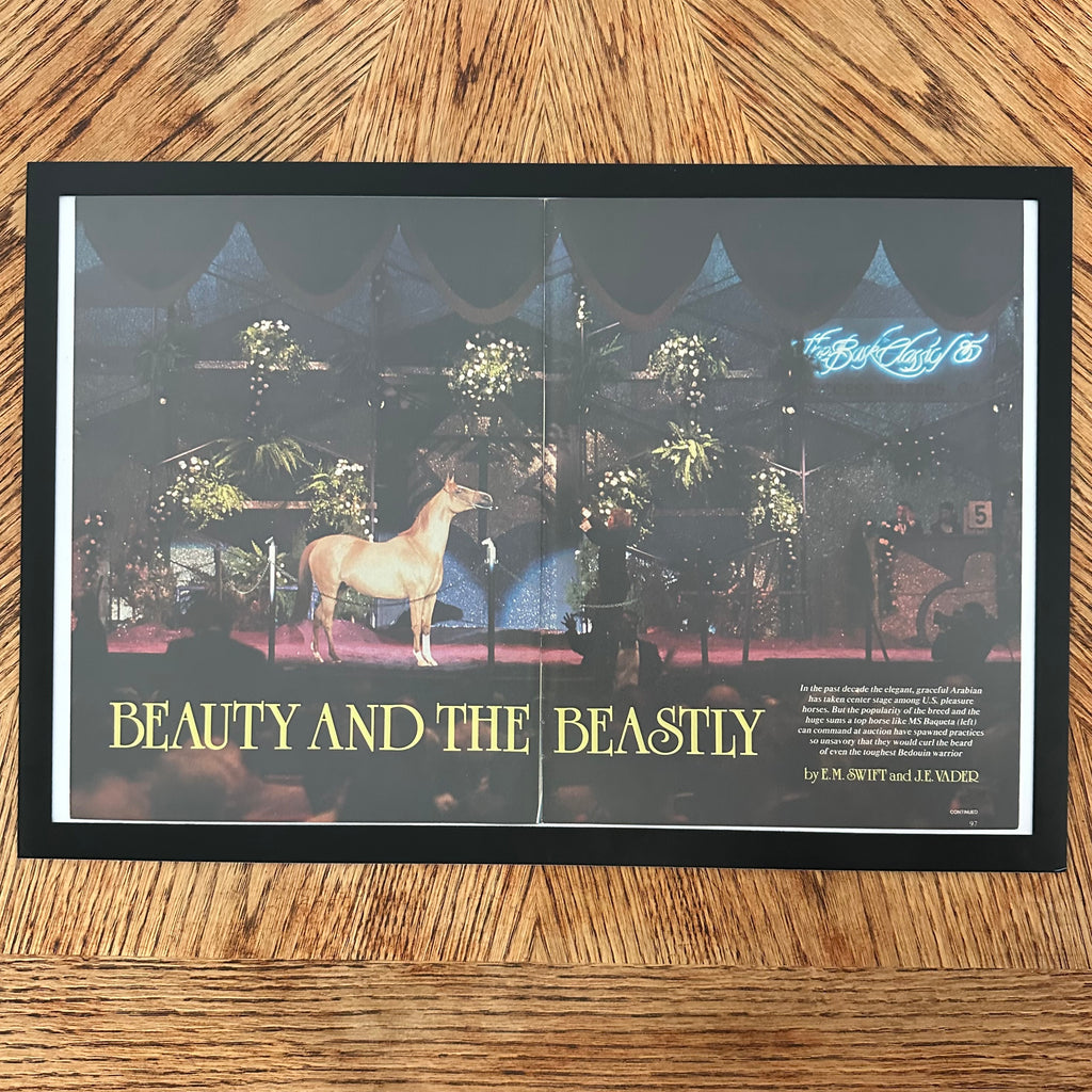 Framed vintage Beauty and the Beastly Arabian horse double page magazine spread