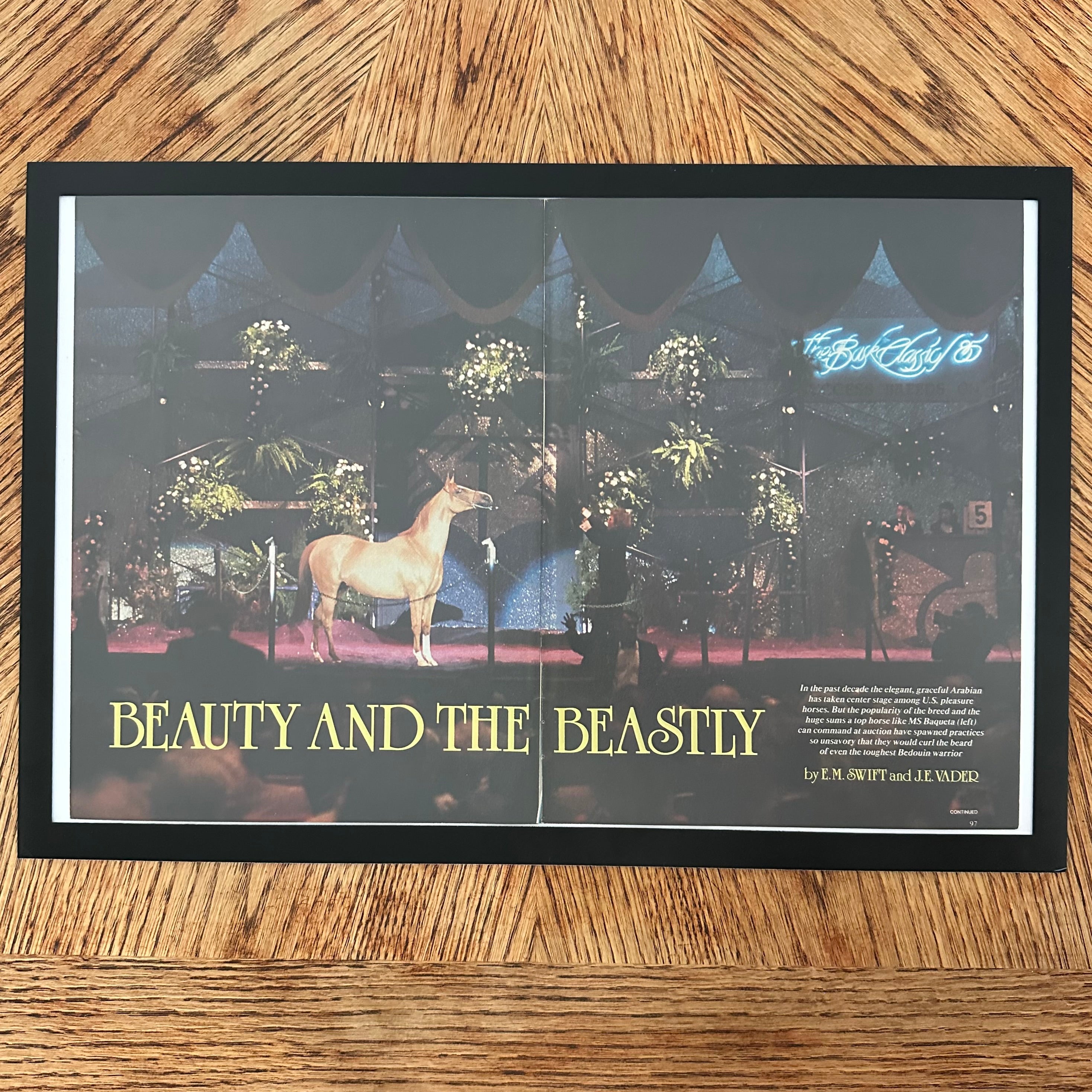 Framed vintage Beauty and the Beastly Arabian horse double page magazine spread