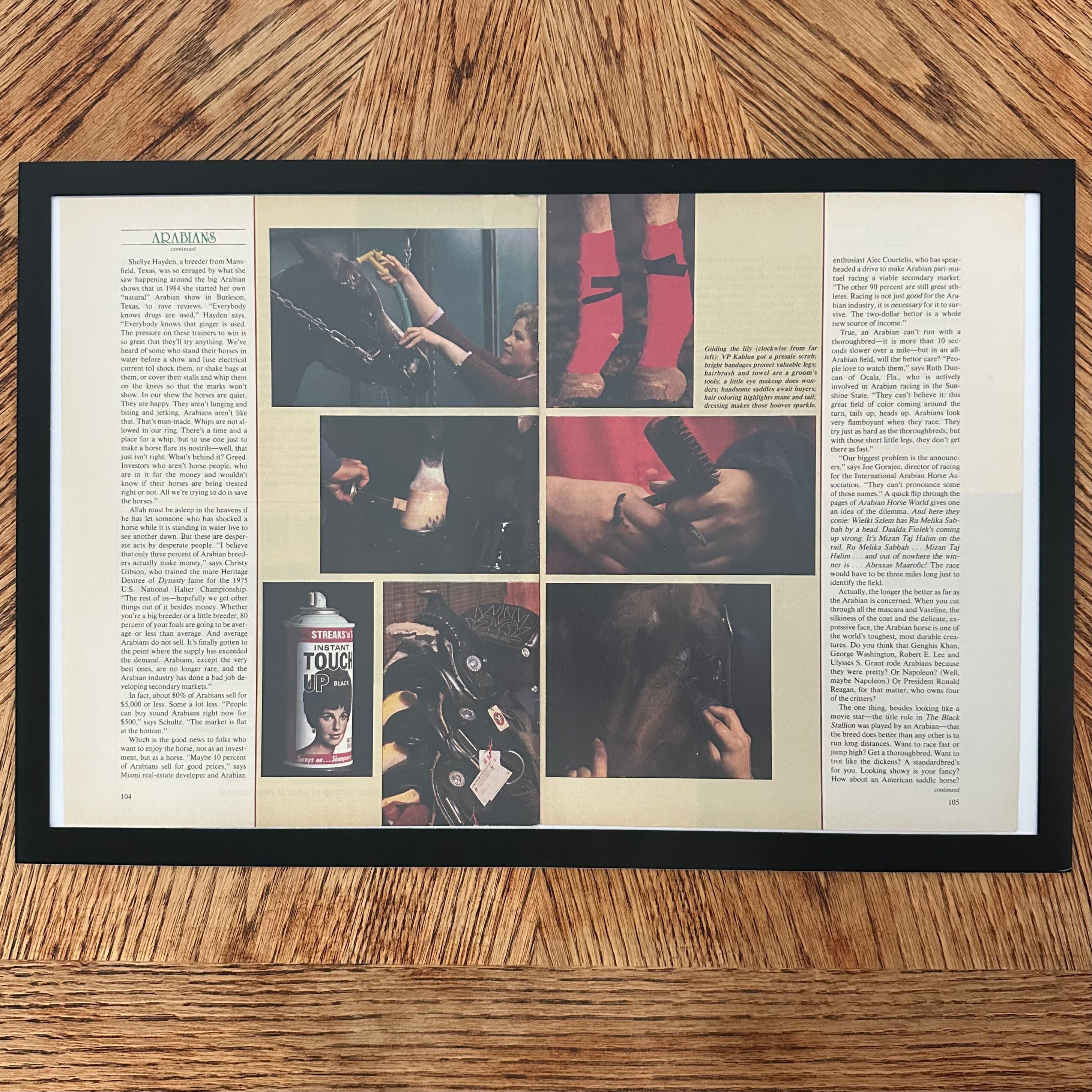 Framed vintage Arabian horse magazine article double page spread