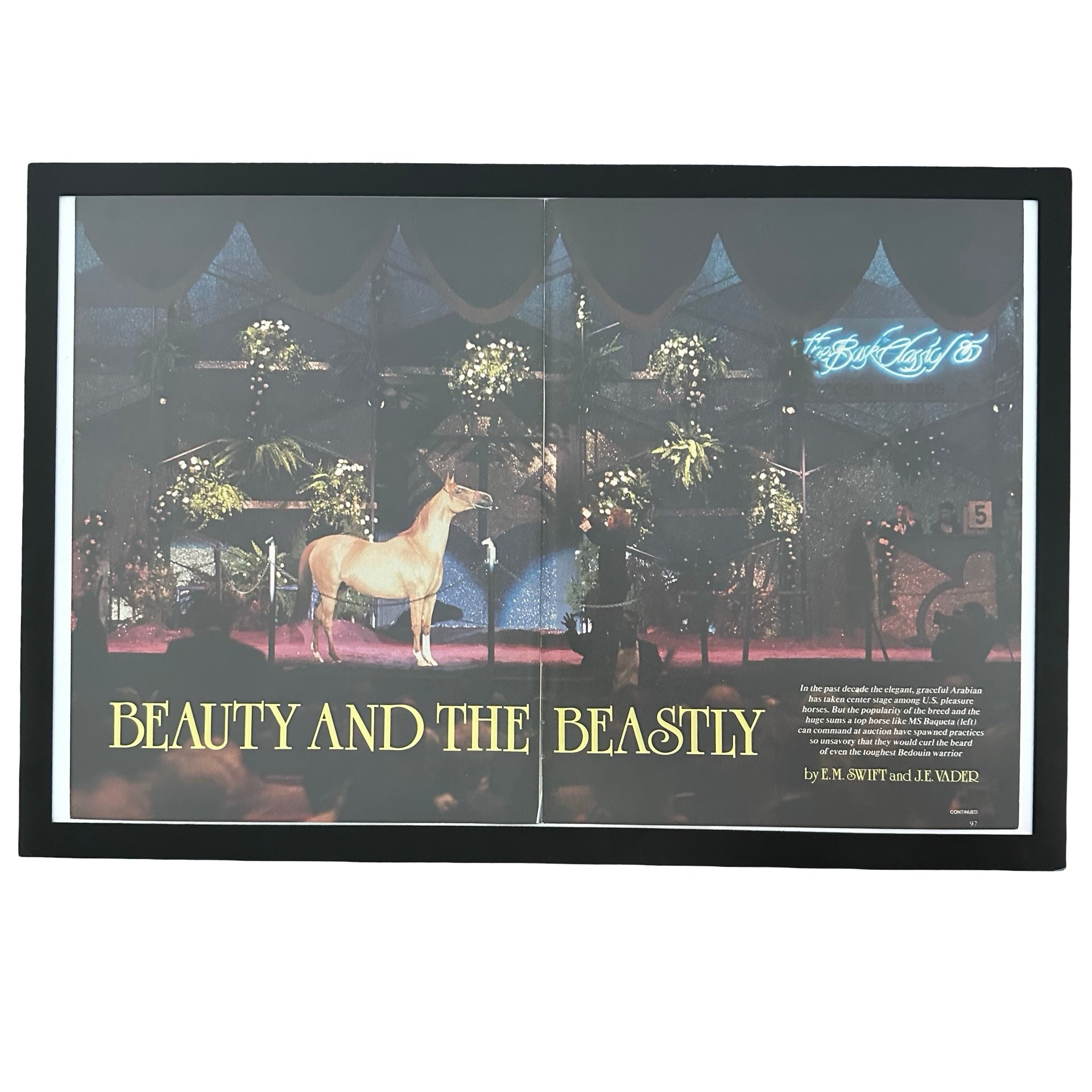 Framed vintage Beauty and the Beastly Arabian horse double page magazine spread on white background