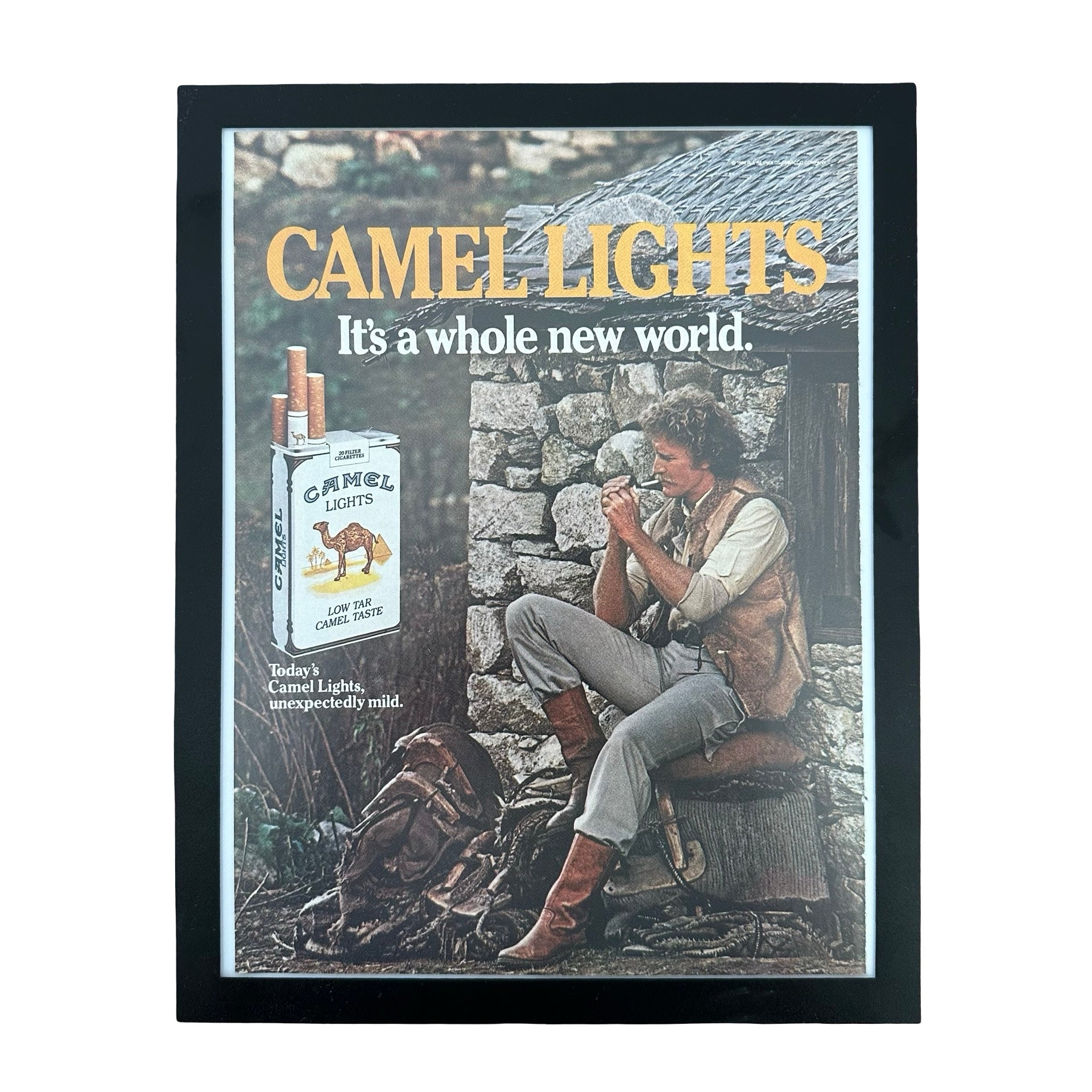 Camel Lights Its A Whole New World Cigarettes Framed Vintage Magazine Ad