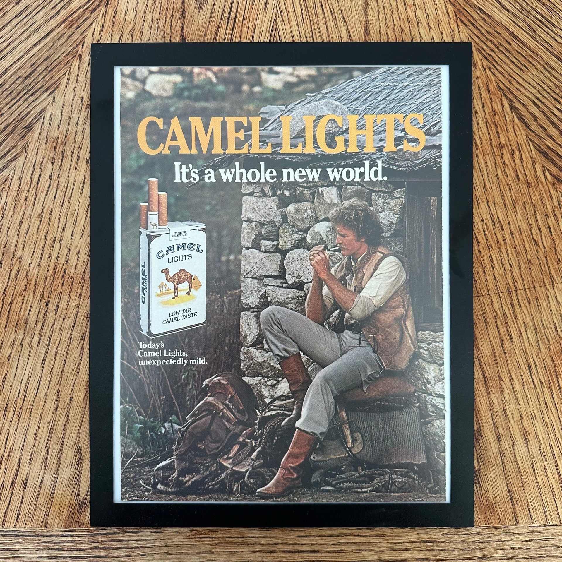 Camel Lights Its A Whole New World Cigarettes Framed Vintage Magazine Ad