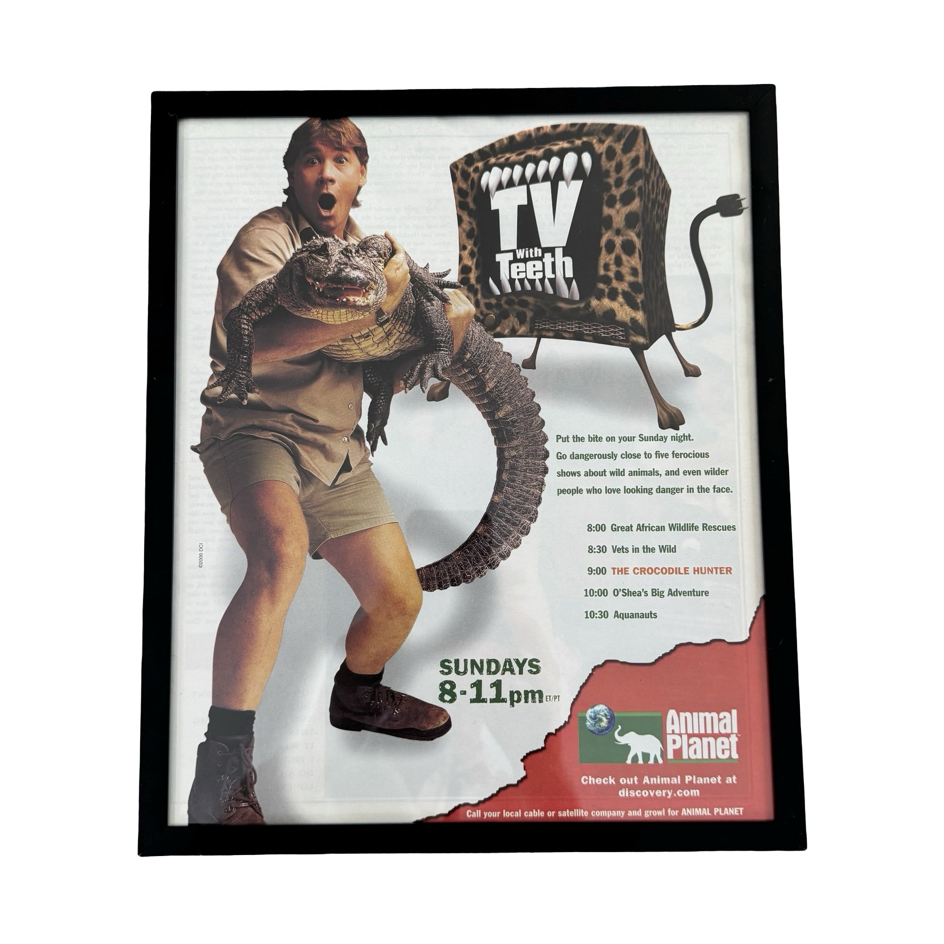 Vintage Steve Irwin Crocodile Hunter Animal Planet 10x12 Framed Magazine Print