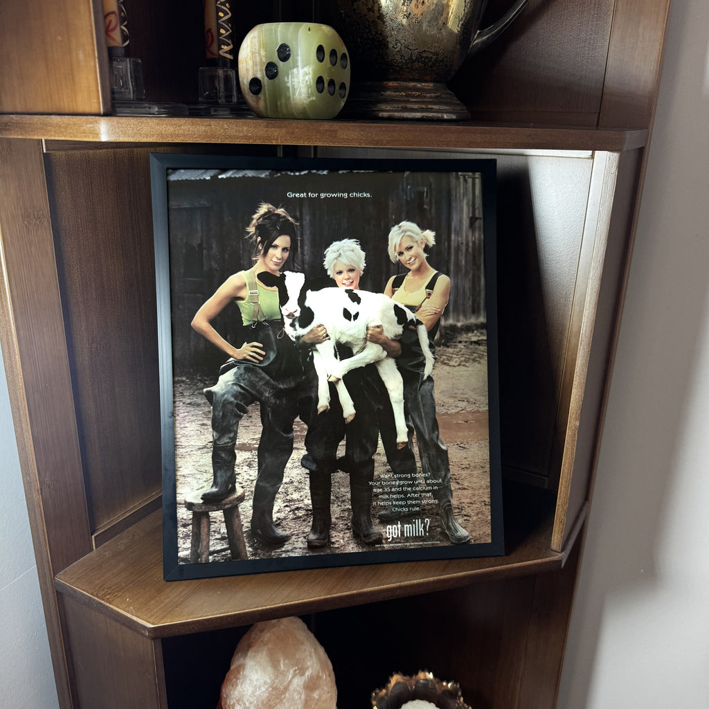 Vintage Dixie Chicks got milk Ad 10x12 Framed Magazine Print