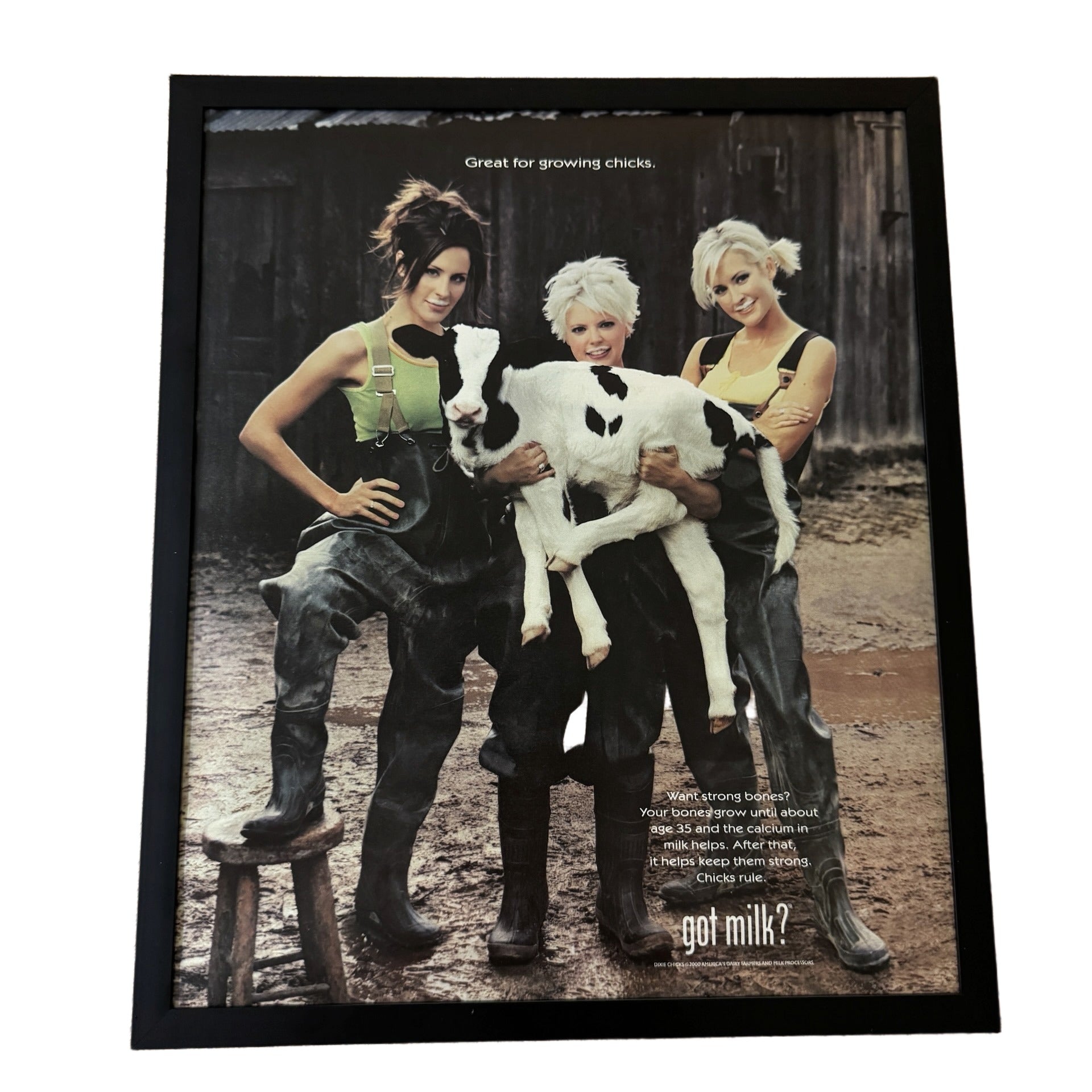 Vintage Dixie Chicks got milk Ad 10x12 Framed Magazine Print
