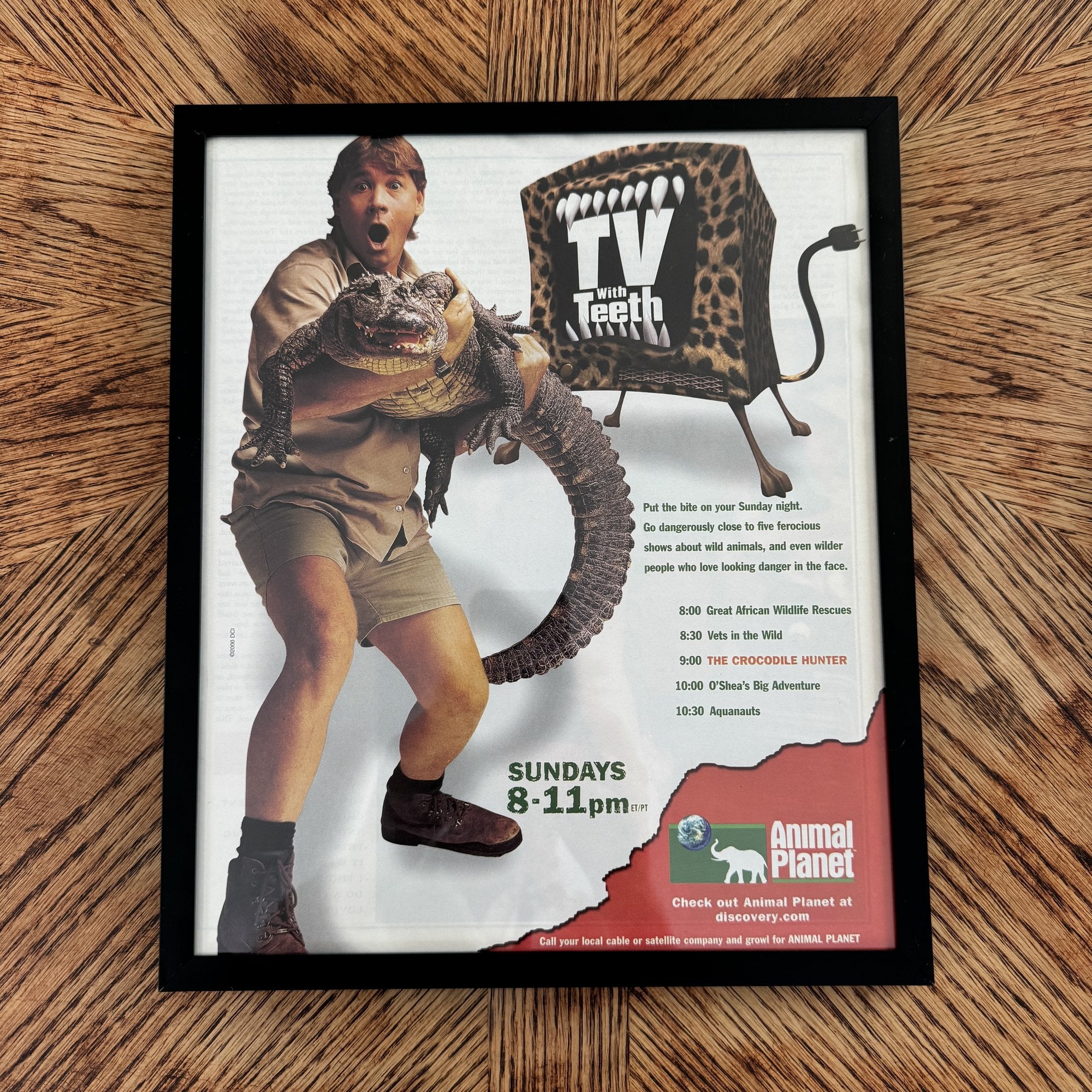 Vintage Steve Irwin Crocodile Hunter Animal Planet 10x12 Framed Magazine Print