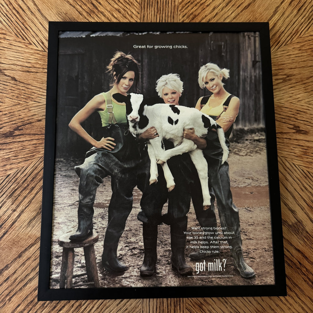 Vintage Dixie Chicks got milk Ad 10x12 Framed Magazine Print